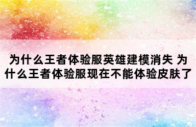 为什么王者体验服英雄建模消失 为什么王者体验服现在不能体验皮肤了